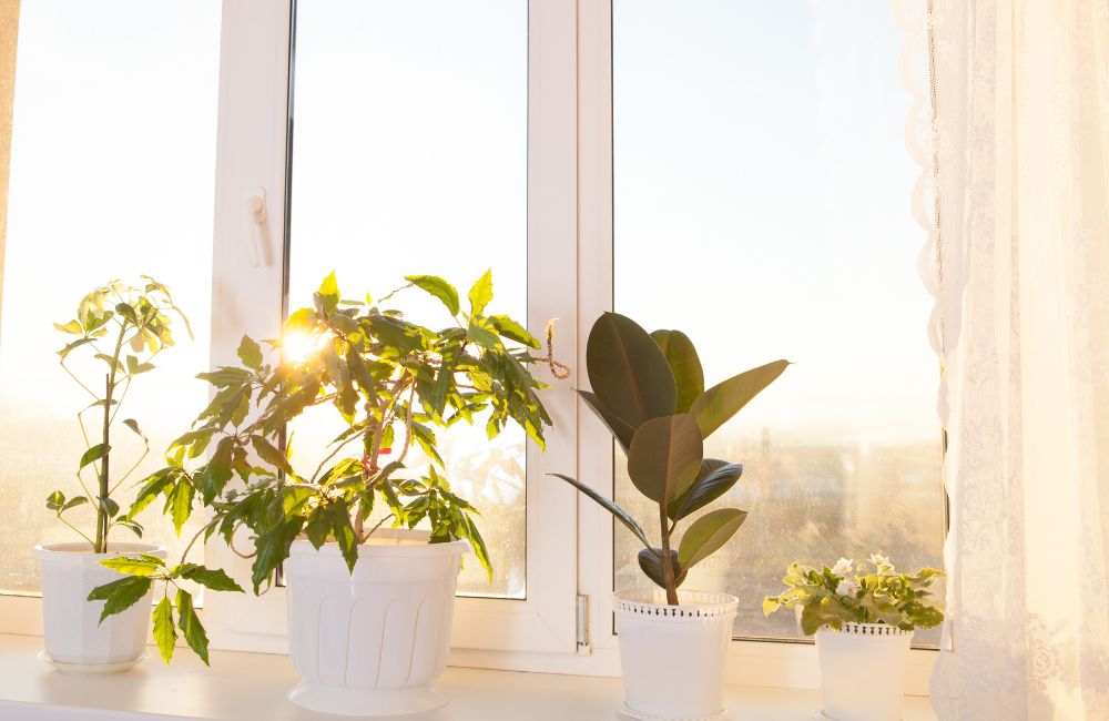 4 Popular Impact Window Color Options for South Florida Homes